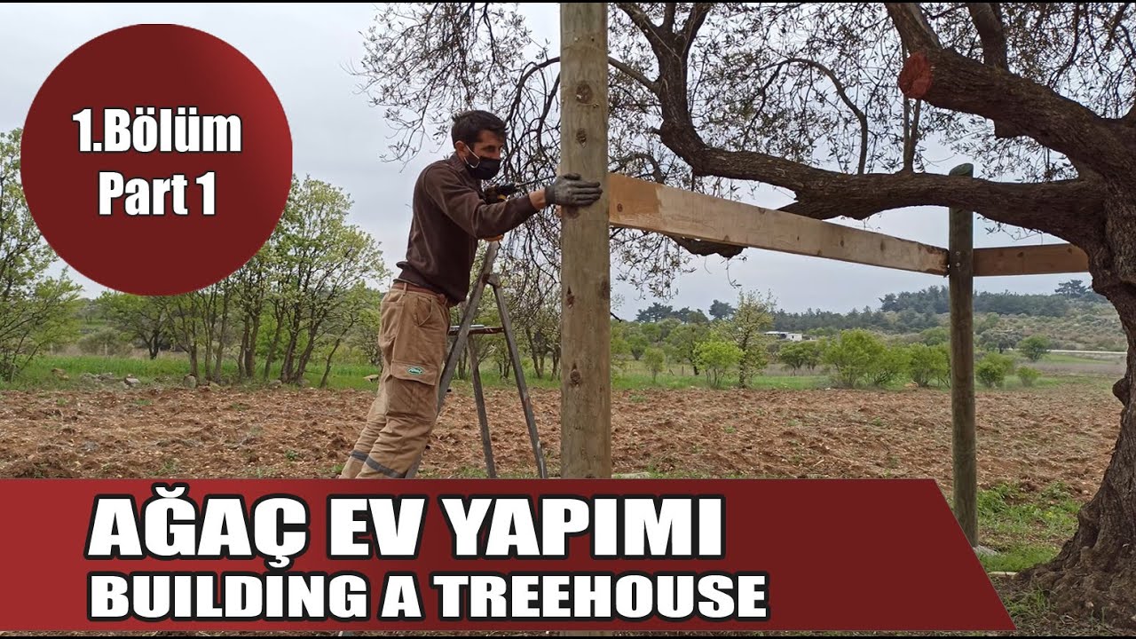 Ağaç Ev Yapımı - 1.Bölüm  Hayallerimize Doğru - How to build a Treehouse - Part1